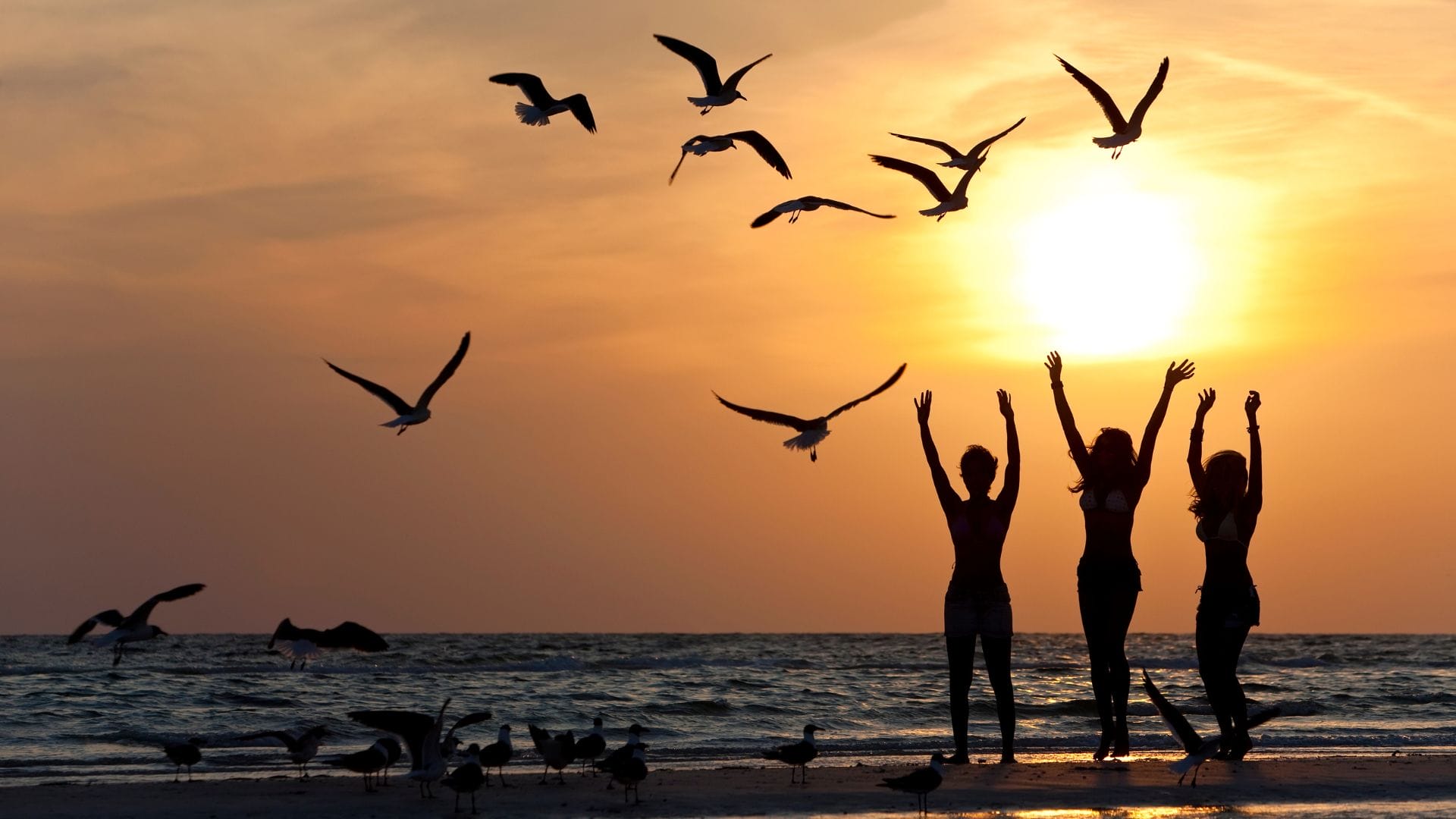 Discovering the Birds of Oahu: A Nature Lover's Paradise