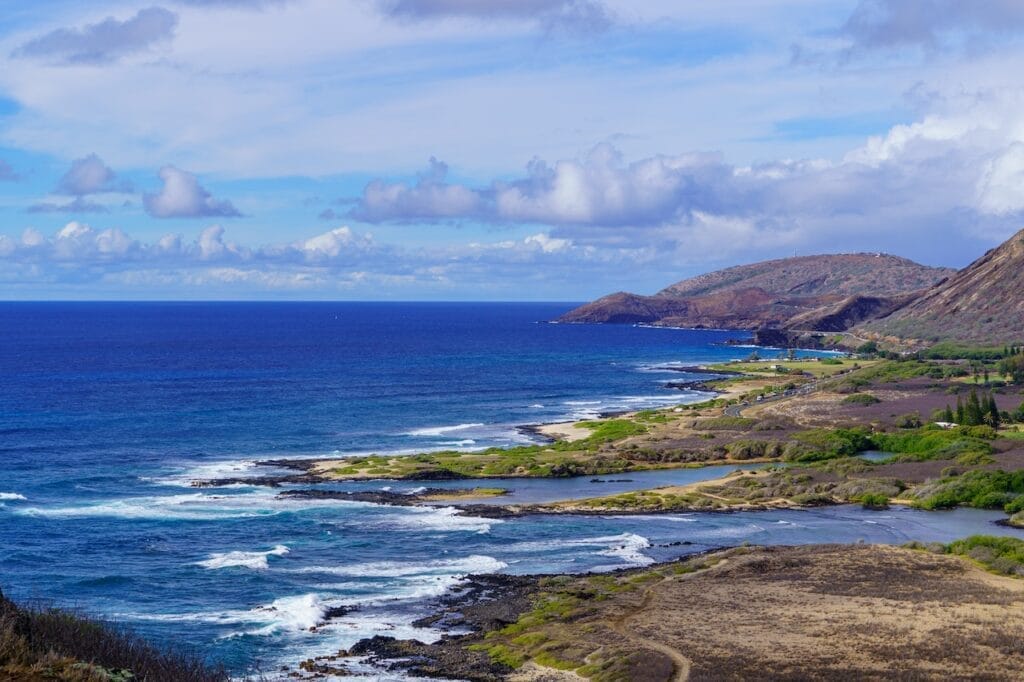 3 Best Spots for Whale Watching in Oahu