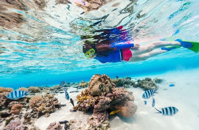 5 Best Spots For Snorkeling In Waikiki - My Hawaiian Adventure