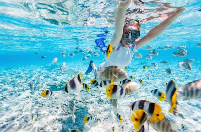5 Best Spots For Snorkeling In Waikiki - My Hawaiian Adventure