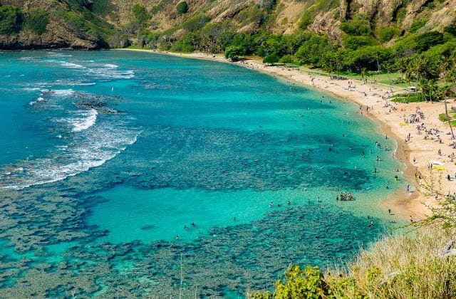 5 Best Spots For Snorkeling In Waikiki - My Hawaiian Adventure