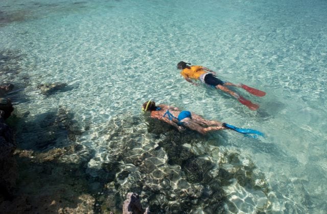 kailua beach snorkeling