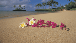 Best Beaches On Oahu